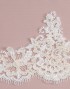 AVA BORDER LACE BEADED (DES 1) IN OFF WHITE