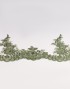 ROSA BORDER LACE BEADED IN OLIVE GREEN